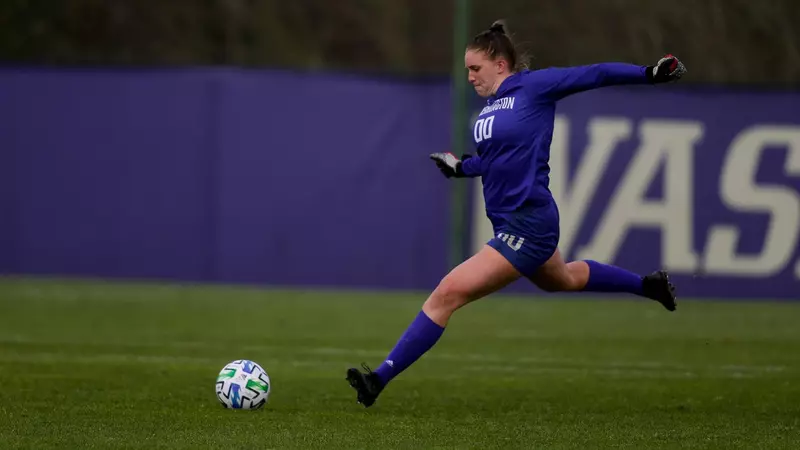 因此他们在 因此他们在