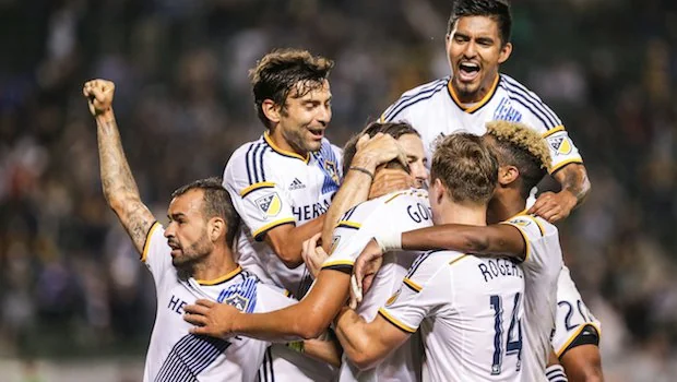 了更多元化 了更多元化